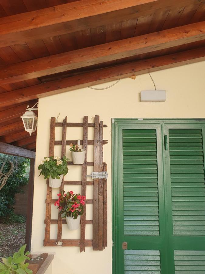 Andrea'S House Villa Fiumicino Exterior foto